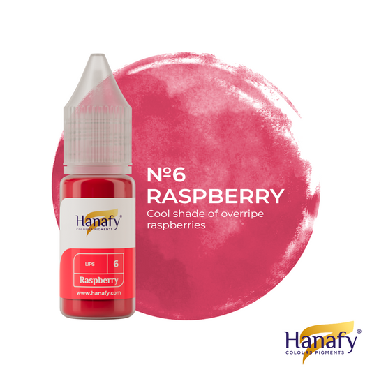 LABIOS 6- RASPBERRY