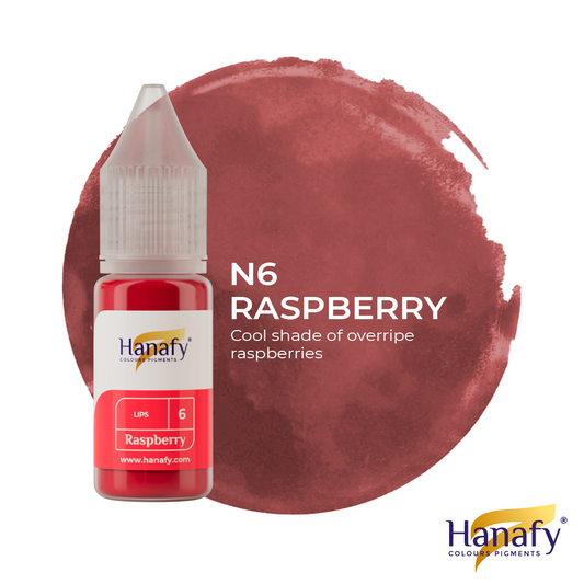 LABIOS 6- RASPBERRY