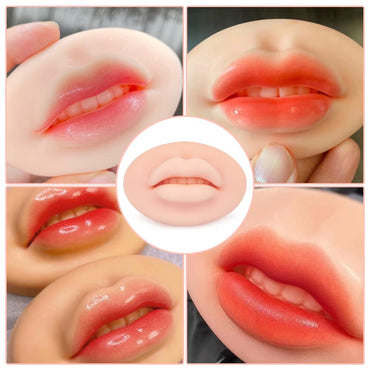 Prática labial realista de silicone macio 5D para blush labial